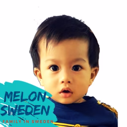 เมล่อน สวีเดน Melon family Sweden