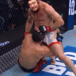 HorseBeef MMA
