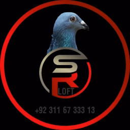 All Birds and Animals