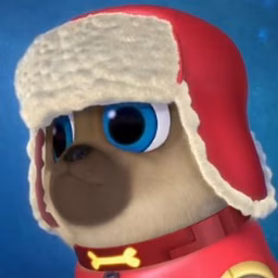 PDP Clips