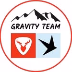 Rotwild Schwalbe Gravity Team
