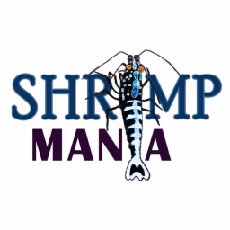 Shrimp Mania