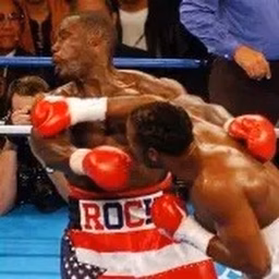 Gary Wilson Classic Boxing