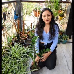 Astha's Little Jungle