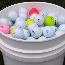 Golf Reuse Shorts