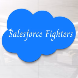 Salesforce Fighters 