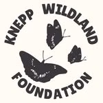 Knepp Wildland Foundation