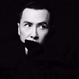 Donnie Yen Official Channel甄子丹