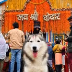 Nawab Tyagi 🐶
