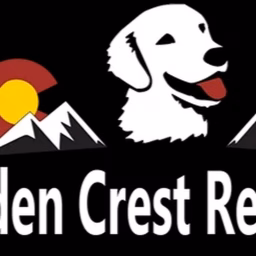 Golden Crest Retrievers