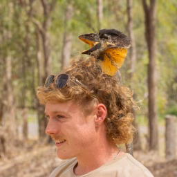 Jesse's Wildlife