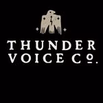 Thunder Voice Co.