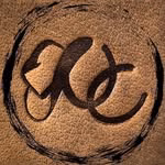 UC Leather