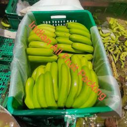 Indian All Fruit Packing