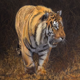 Paul Apps Wildlife Artist