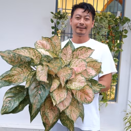 Gardening With Johnson Engleng 