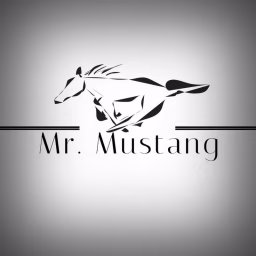 Mr. Mustang Zrt.