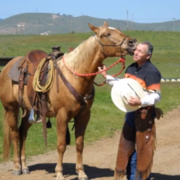 Think Like A Horse