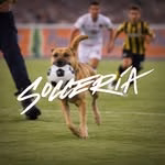 Socceria