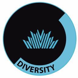 Diversity Studio