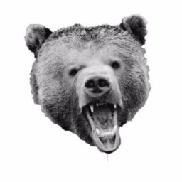 TheShortBear