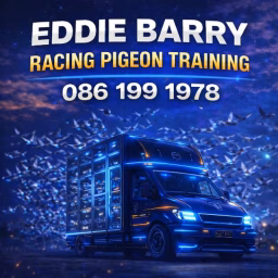 Eddie Barry lofts video's