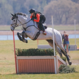 Claire Eventing