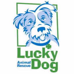 luckydoganimalrescue
