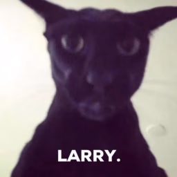 larry arabic