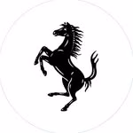 Ferrari Style