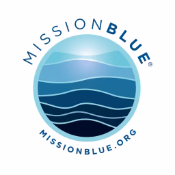 Mission Blue®