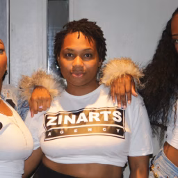 Zinarts Agency