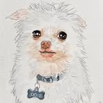 Odie the Goblin Dog