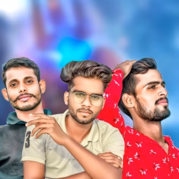 Ham Sab Comedian