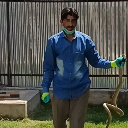 Wildlife manzoor