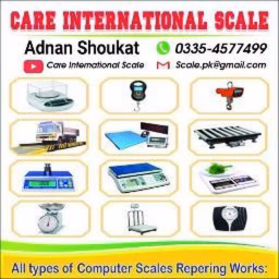 Care International Scale