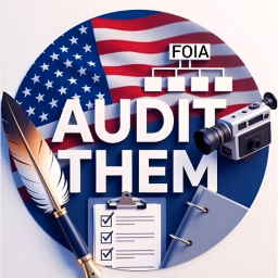 Audit Them