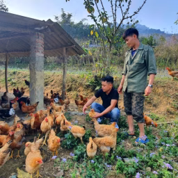 Building Green Life
