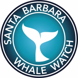 Santa Barbara Whale Watch