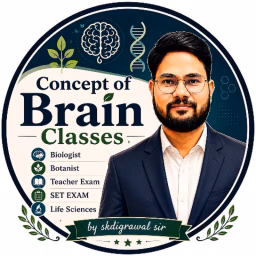 CONCEPT OF BRAIN CLASSES 