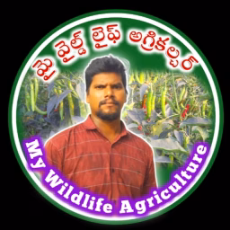 𝗠𝘆 𝗪𝗶𝗹𝗱 𝗟𝗶𝗳𝗲 𝗔𝗴𝗿𝗶𝗰𝘂𝗹𝘁𝘂𝗿𝗲