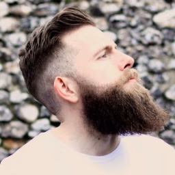 Beardster