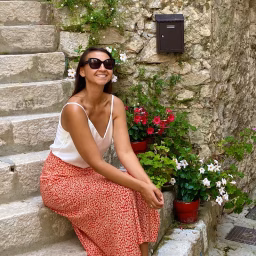 French Vibes