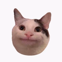 知識猫