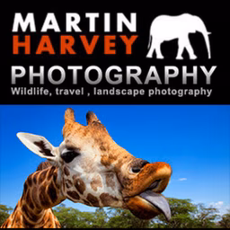 Africa Luxury Travel and Wildlife