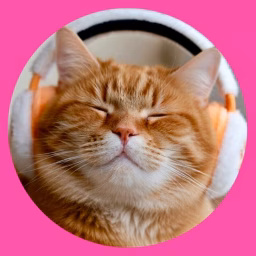  Catball 猫波影音