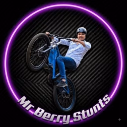 Mr Berry Stunts