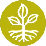 Rodale Institute