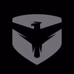 Falcon Shocks