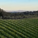 Manon Farm